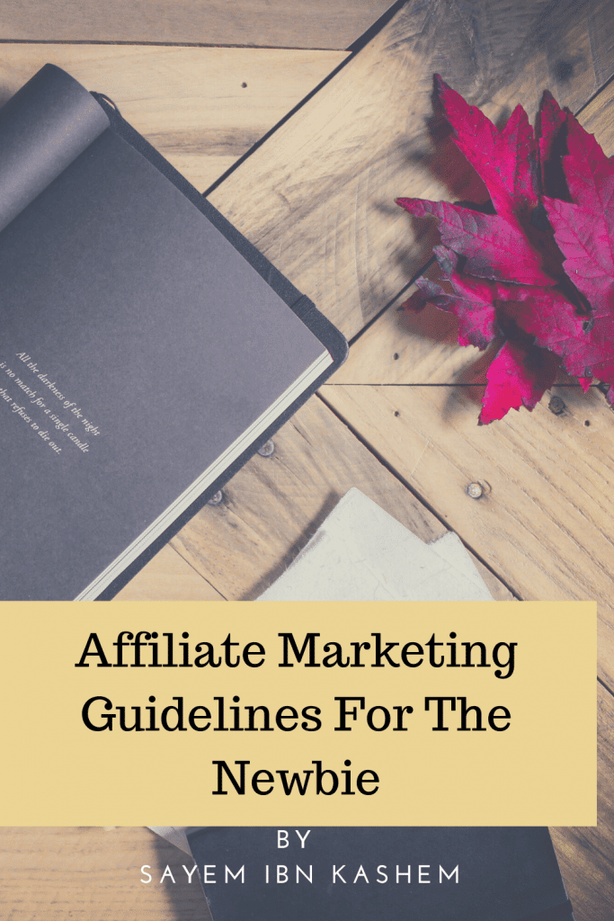 Affiliate Marketing Guide For The Newbie 
