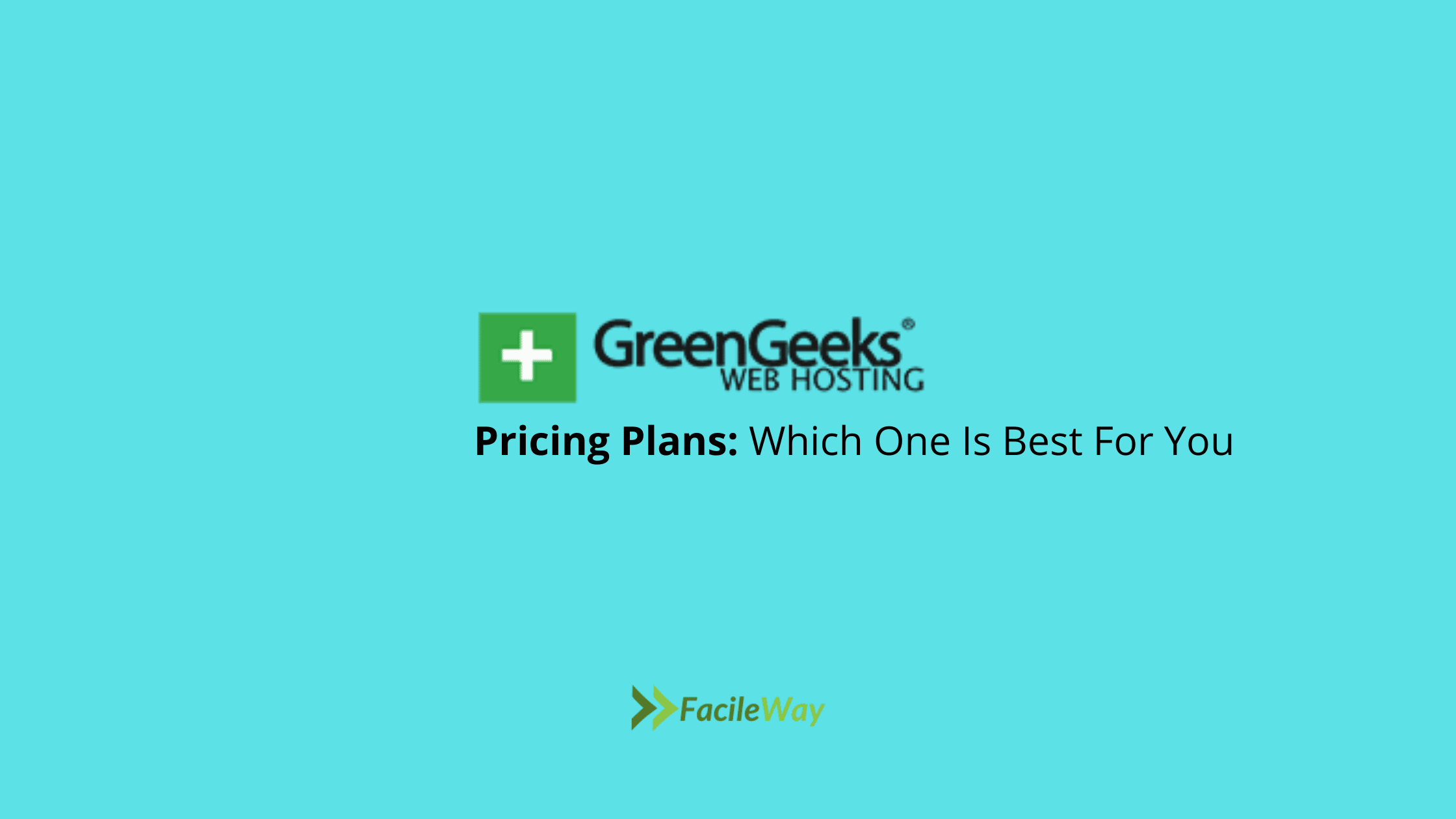 GreenGeeks Pricing Plans Review