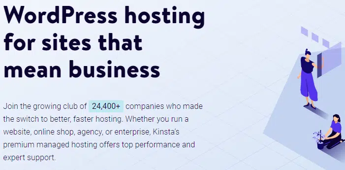Kinsta-The best Rocket Net hosting alternative 