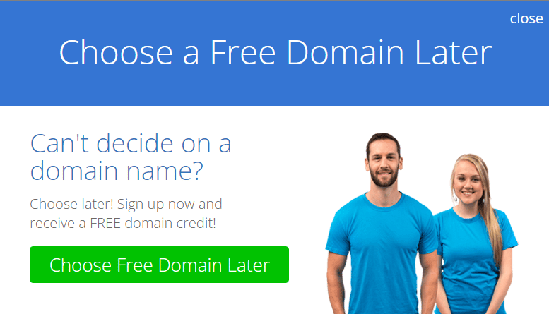 Bluehost Domain registration or choose later 