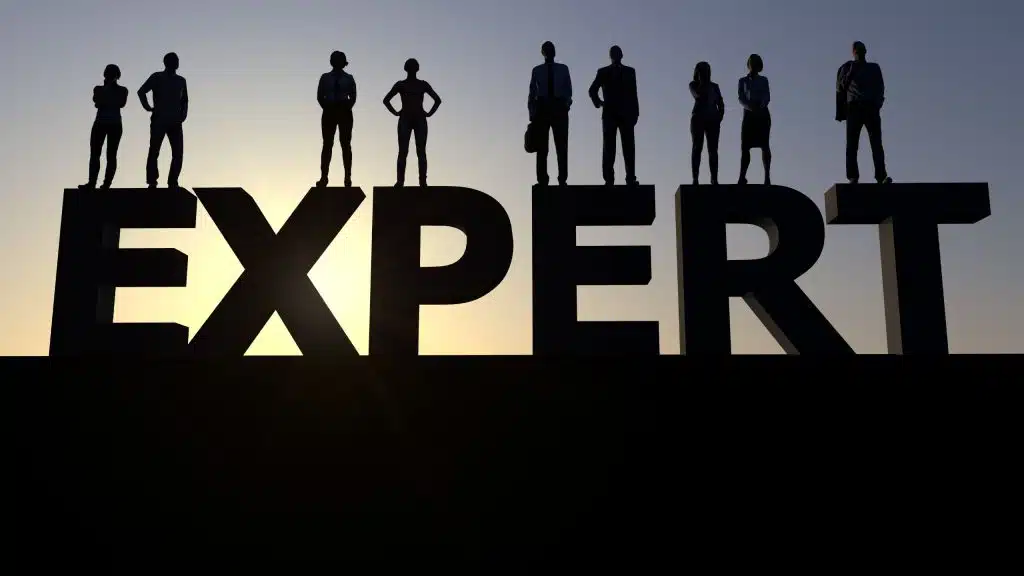 Be Expert and present yourself as expert 