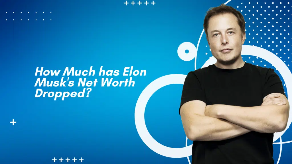 Elon Musk Net Worth Dropped 
