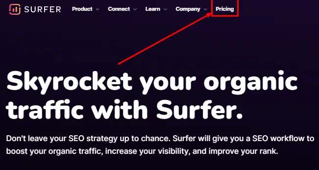 Surfer SEO Website 