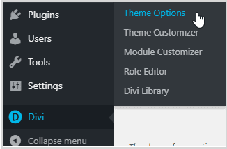 Divi Theme Options 