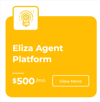 GoHighLevel Eliza Agent Platform Integration 