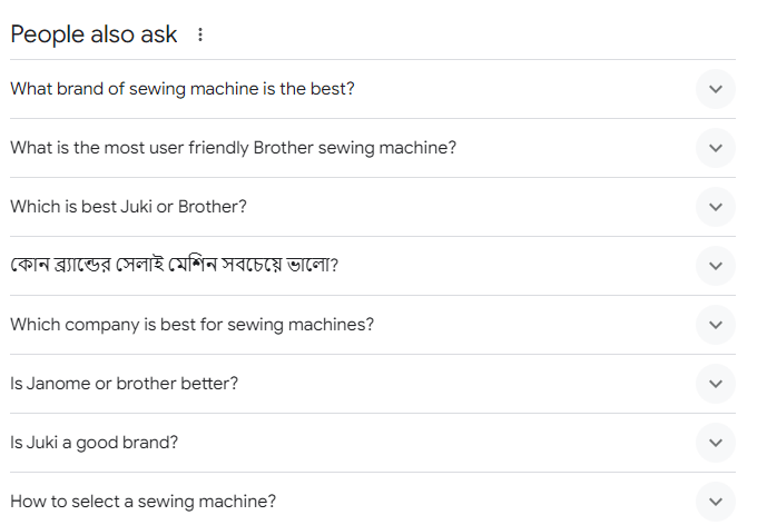 People Also Ask Section